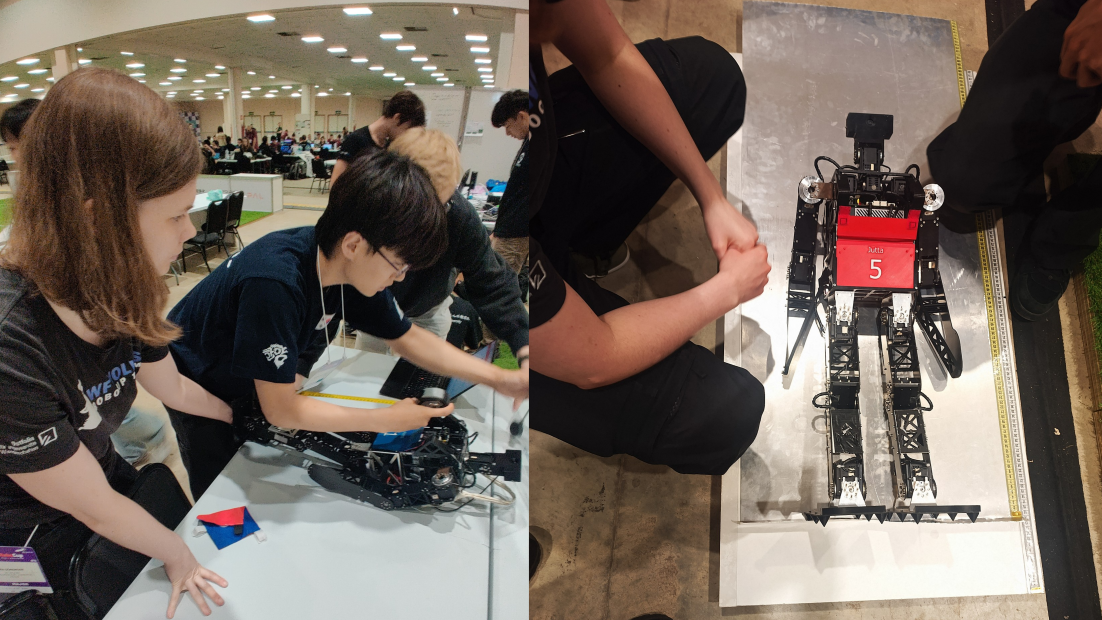 Robot Inspection